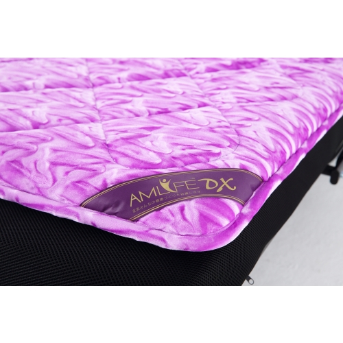 AmLife DX 電位溫熱治療器